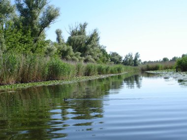 Ukrayna 2009 Kherson alan