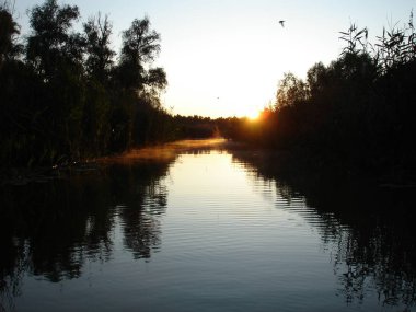 Ukrayna 2009 Kherson alan