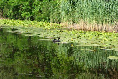 Ukrayna 2010 Krynki Khesson