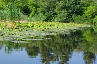 Ukrayna 2010 Krynki Khesson
