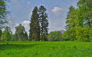 Ukrayna 2011 İskenderiye Park