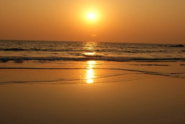 Hindistan 2010 Goa Arambol