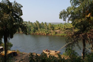 Hindistan 2010 Goa Arambol