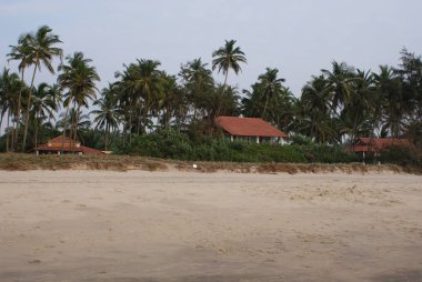 Hindistan 2010 Goa Ashvem