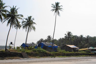 Hindistan 2010 Goa Ashvem