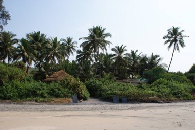 Hindistan 2010 Goa Ashvem