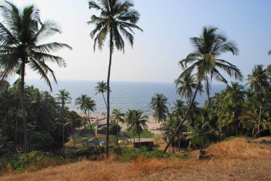 Hindistan 2010 Goa Vagator