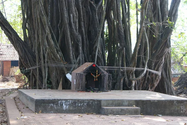 India 2010 Goa Ashvem — Foto de Stock