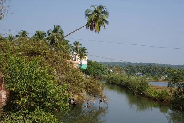 Baga Goa Indie 2010 — Stock fotografie