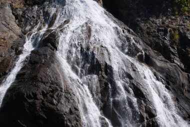 Hindistan 2012 Dudhsagar Falls