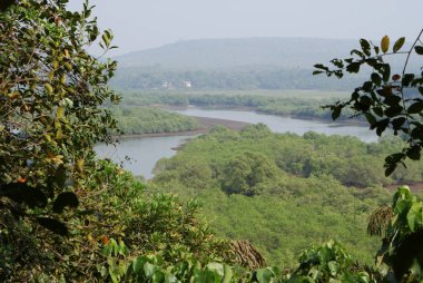 Hindistan 2010 Goa Keri