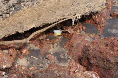 Hindistan 2010 Goa Keri