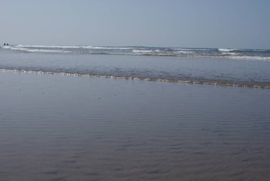 Hindistan 2010 Goa Mandrem