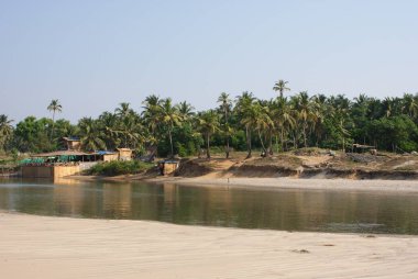 Hindistan 2010 Goa Mandrem