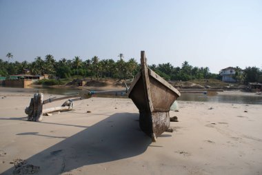 Hindistan 2010 Goa Mandrem