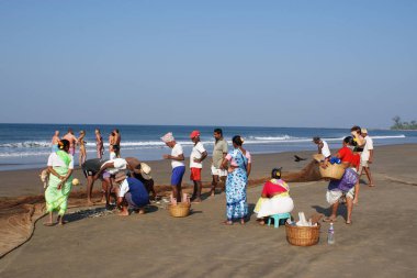 Hindistan 2010 Goa Morjim