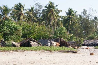 Hindistan 2010 Goa Morjim