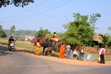Hindistan 2010 Goa Morjim