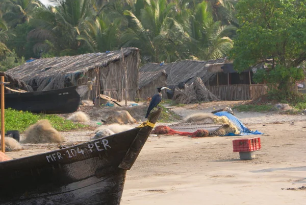 Indien 2010 Goa Morjim — Stockfoto