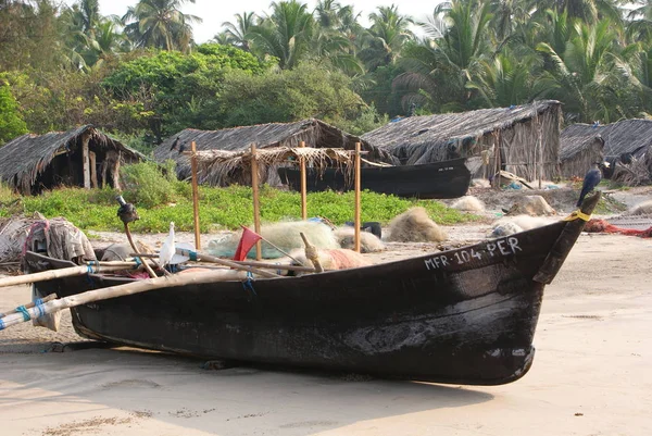 Indien 2010 Goa Morjim — Stockfoto