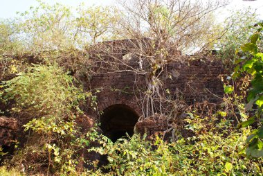 Hindistan 2010 Goa Tirakor Fort