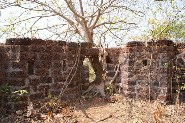 India 2010 Goa Tirakor Fort — Foto de Stock