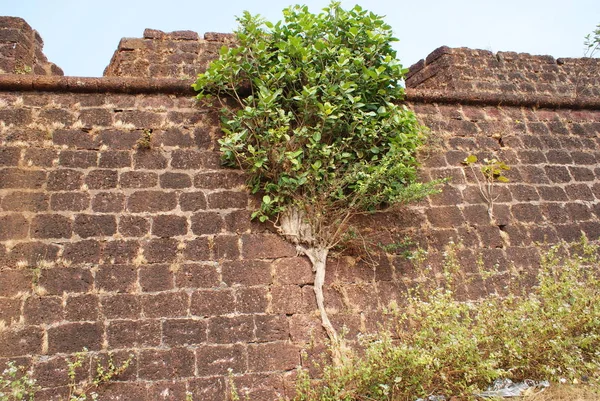 Fortaleza Chapora India 2010 Goa — Foto de Stock