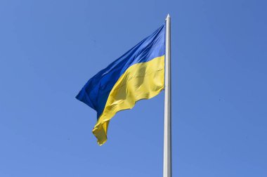Mavi ve sarı Ukrayna bayrağı gökyüzüne karşı Bağımsızlık Günü'nde sallayarak.