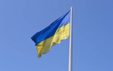 Mavi ve sarı Ukrayna bayrağı gökyüzüne karşı Bağımsızlık Günü'nde sallayarak.