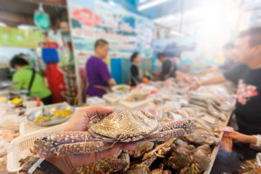 Piyasada el büyük yengeç