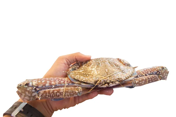 Crab Mare Mână Piață — Fotografie, imagine de stoc