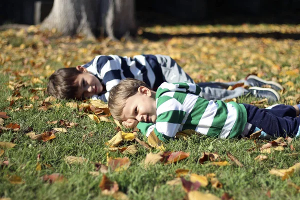 男の子は 紅葉に芝生に寝転んで — ストック写真