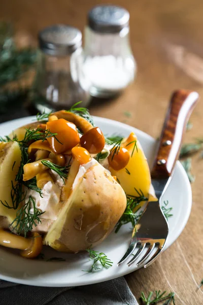 Krem peynir dereotu ve mantar ile fırında patates