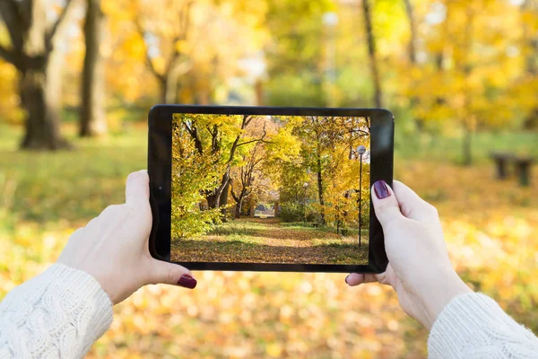 Menina Tira Uma Foto Parque Outono Tablet — Fotografia de Stock