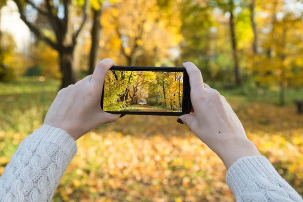 Ein Mädchen Fotografiert Den Herbstpark Mit Dem Smartphone — Stockfoto