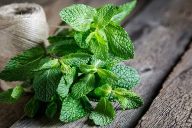 Yakın mesafeden taze nane yaprakları.