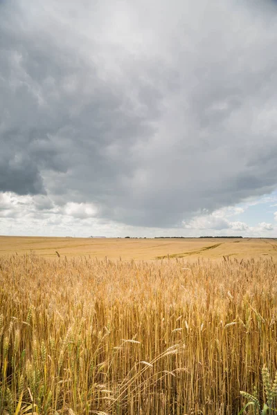 Wolken Boven Het Landbouwveld — Stockfoto