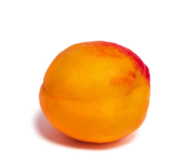Apricot Close Fundo Branco Isolado — Fotografia de Stock