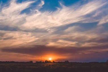 Spikelets gün batımında alanıyla