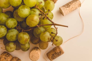 Şarap mantarlar. Şarap mantarlar. Beyaz arka plan. Üzüm. Beyaz üzüm.