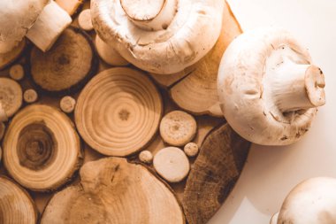 Mantar masanın üzerinde. Mantar beyaz. Petrol. Ahşap tahta.