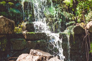 Şelale kayalarda. Orman. Nehir.