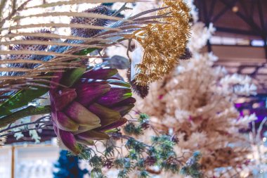 Dekor ev ve ofis için. Dekoratif çiçek. Aloe. Bir tencerede çiçekler.