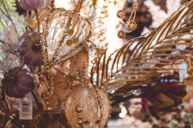 Dekor ev ve ofis için. Dekoratif çiçek. Aloe. Bir tencerede çiçekler.