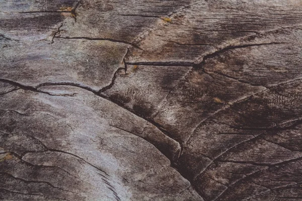 텍스처입니다 나무입니다 배경입니다 — 스톡 사진