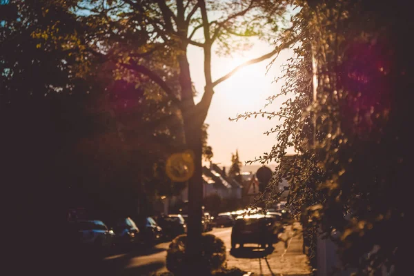 Herbst Der Stadt Sonnenstrahlen Durch Das Laub — Stockfoto