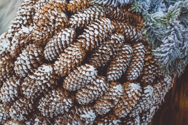 Noel çam kozalakları kar ile