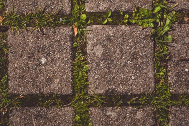 Doku ve arka plan. kaldırım döşeme çim ile