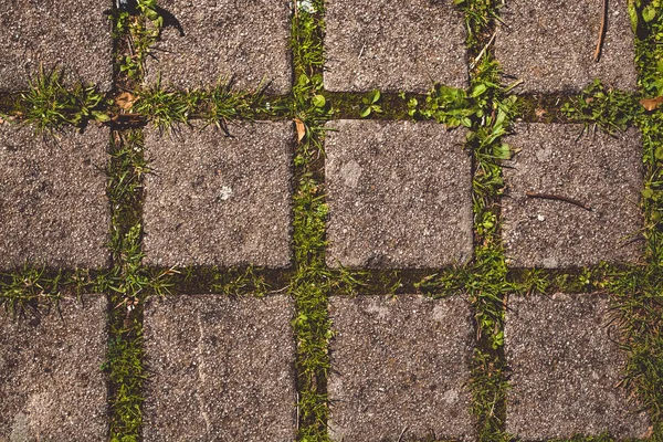 Textur Und Hintergrund Pflasterplatten Mit Gras — Stockfoto