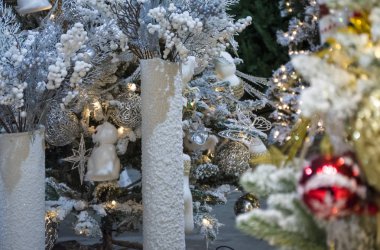 Zarif beyaz vazo içinde karlı bir Noel ağacı gölgesi.